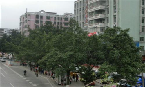 29 (2).png